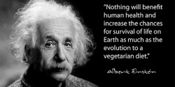 Vegetarian-quote-Einstein-660x330